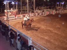 divinaexpo 49